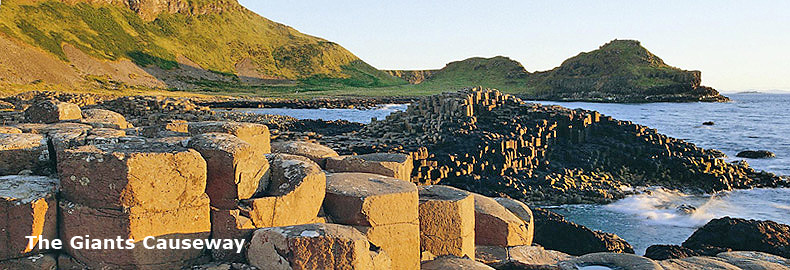 Stacks Image 182